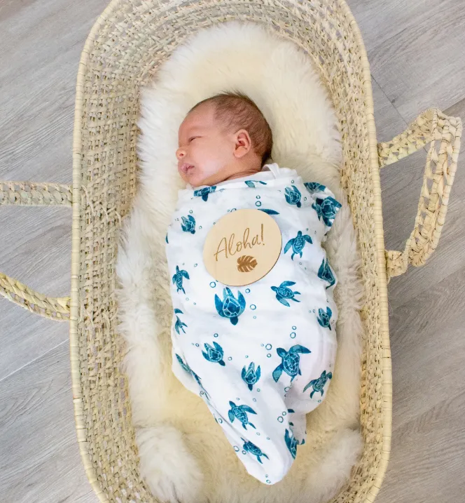 2PK Turtle  Swaddle Blankets