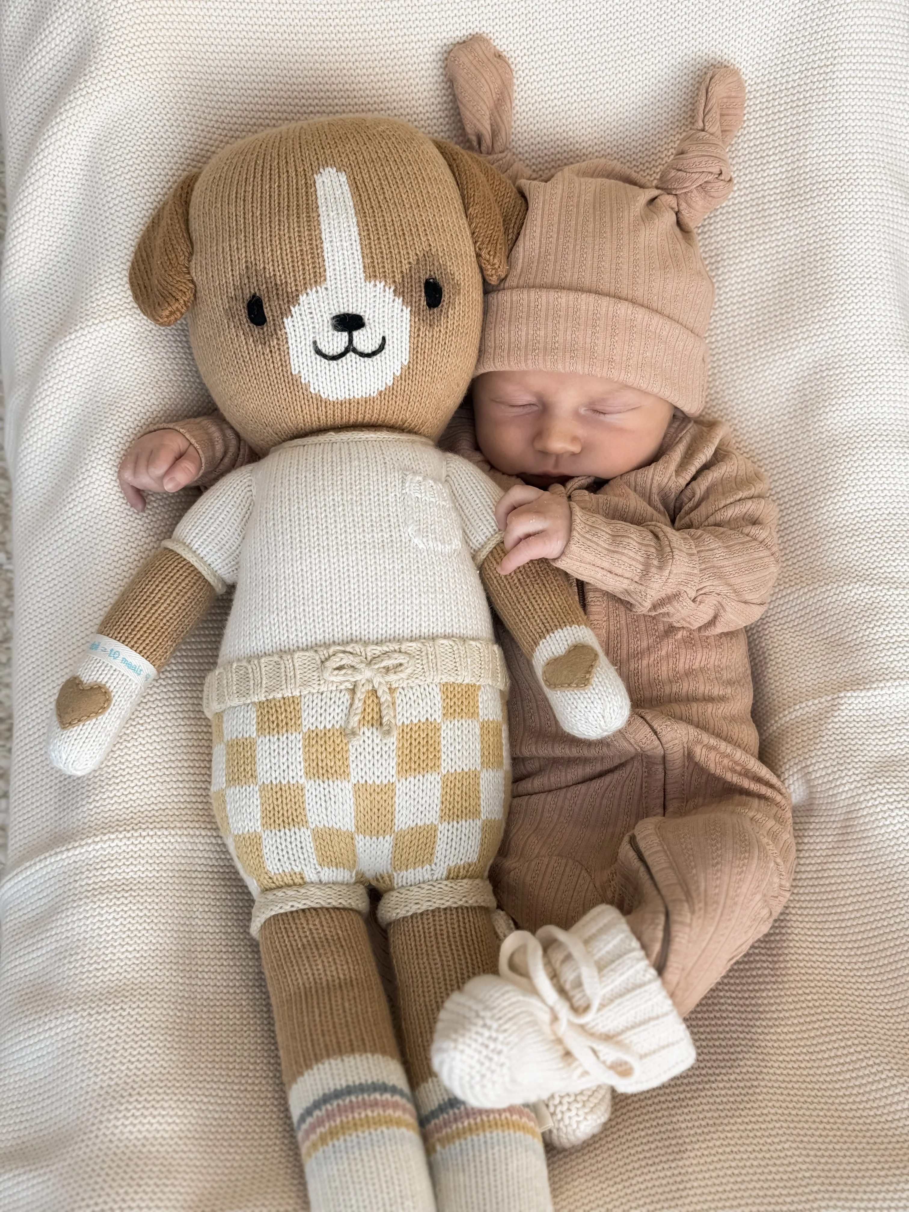 Double Knot Beanie | Teddy Ribbed Pointelle