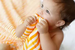 Orange Stripe Parrot Swaddle Blanket