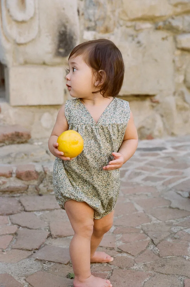 Savannah Bubble